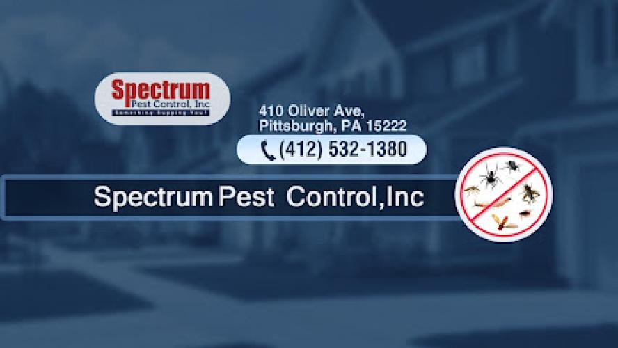 Spectrum Pest Control
