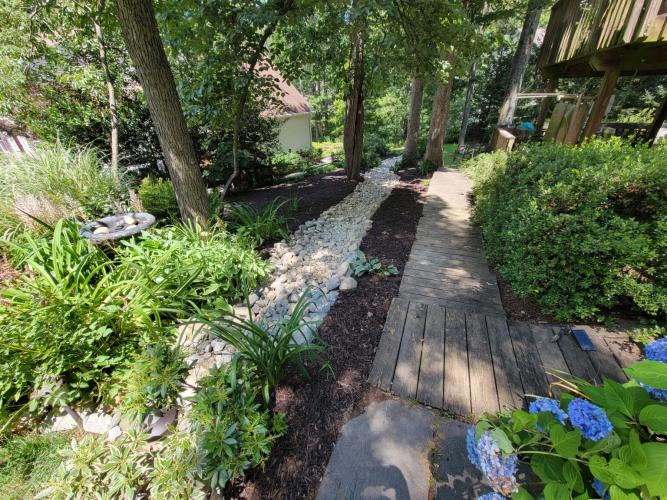 Solar Landscaping & Tree Service