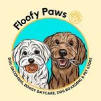 Floofy Paws