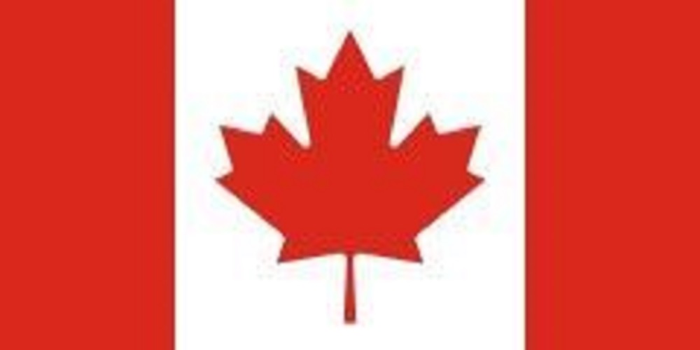 Cartier Environmental Services Inc.