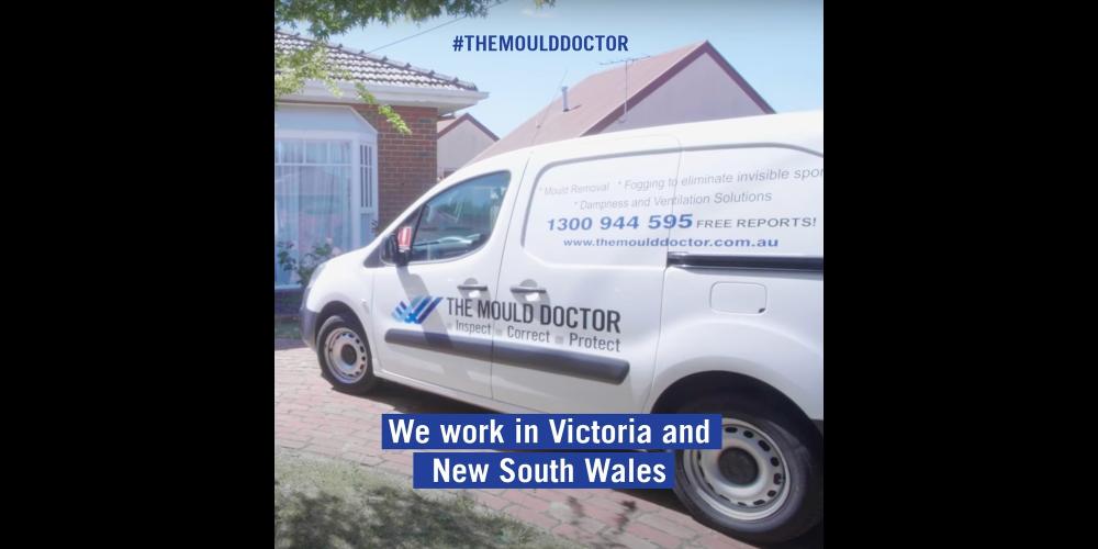 The Mould Doctor