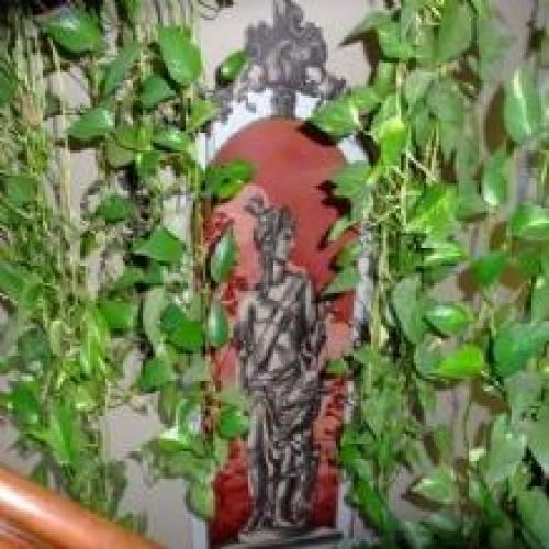 Grover Guest House