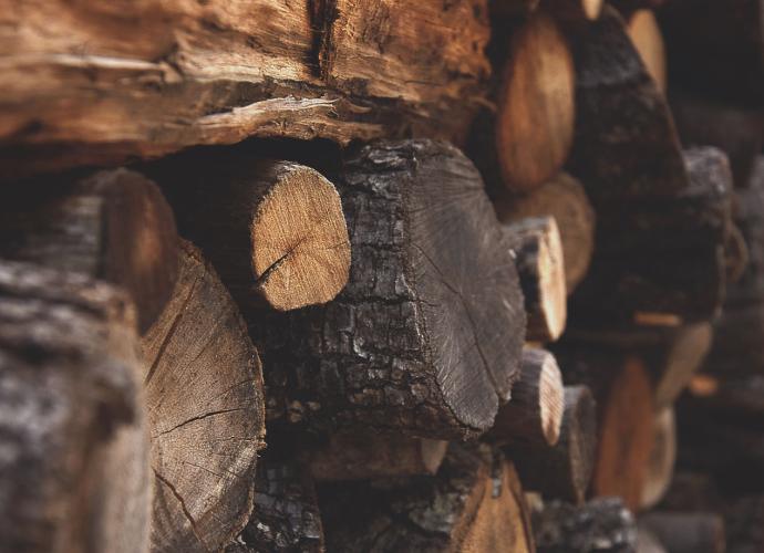 E & C Logs