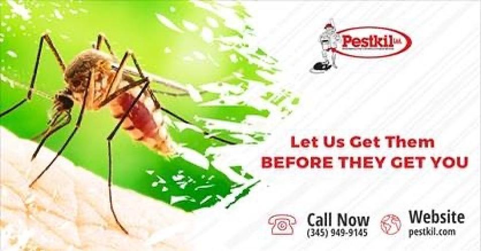 Pestkil Ltd.