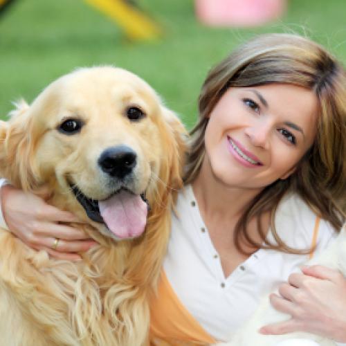 Emergency Veterinary Hospital