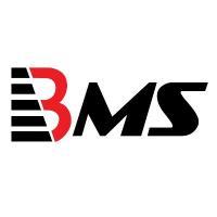 https://www.bmsauditing.com/