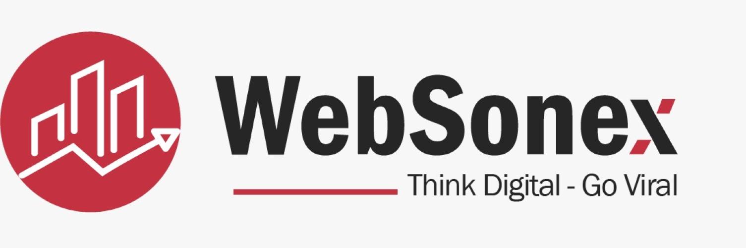 WebSonex - Digital Marketing Agency