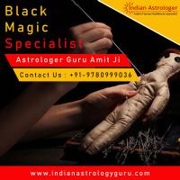 indianastrologyguru