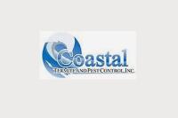 coasteltermite