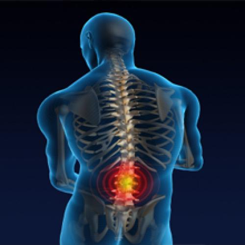 Quantum Wellness LLC