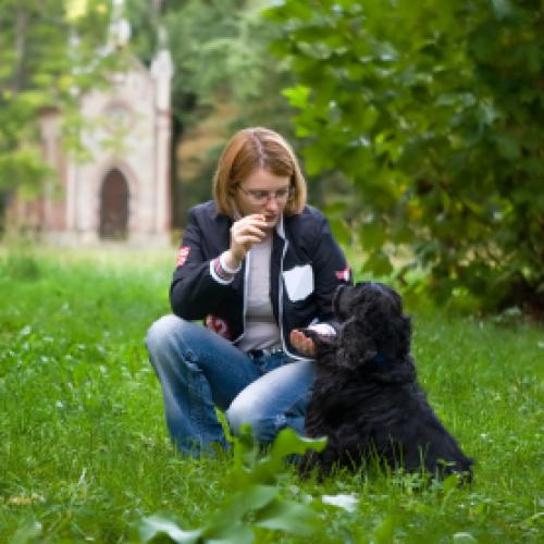 Lush Puppy Pet Resort