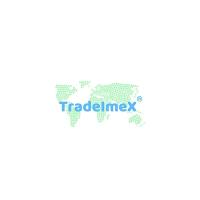 Tradeimex Info Solution Private Limited