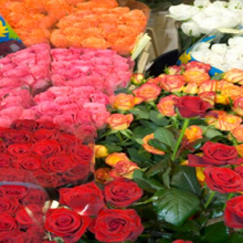 Petals Florist
