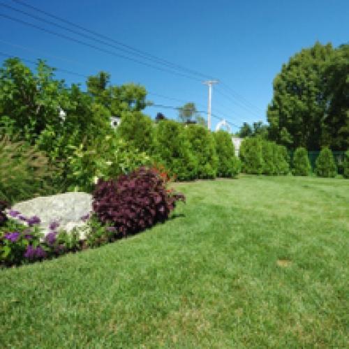 Elegant Garden Ltd