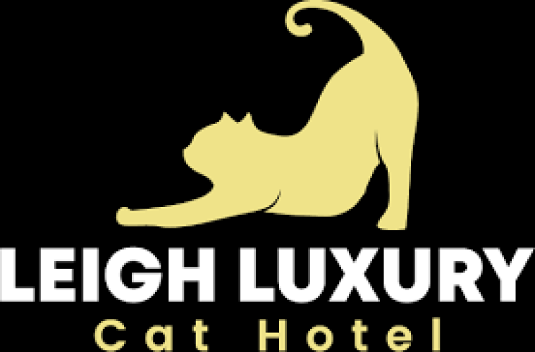 Leigh Cat Hotel