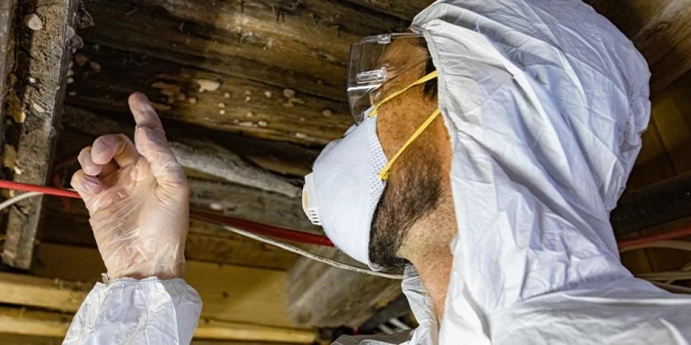 Certified Mold Removal Inc.