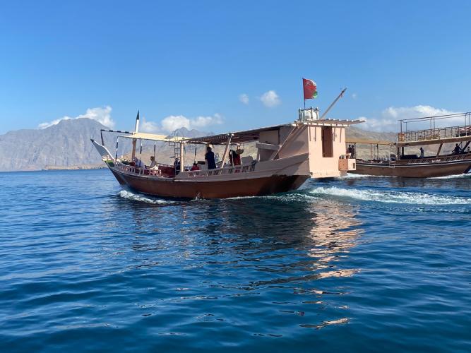Dolphin Musandam Tours