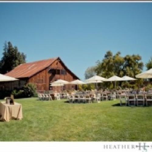 The Wedding Connection