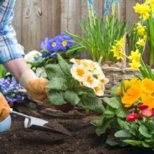 D&D Landscape & Sprinkler Services Inc.