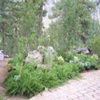 Taylor Brothers Landscape