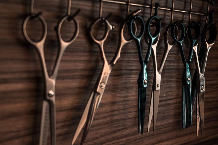 Molly's Salon
