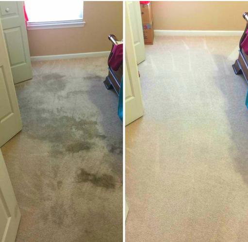 Tropical Carpet Care
