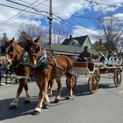 Mainely Drafts Horse And Carriage