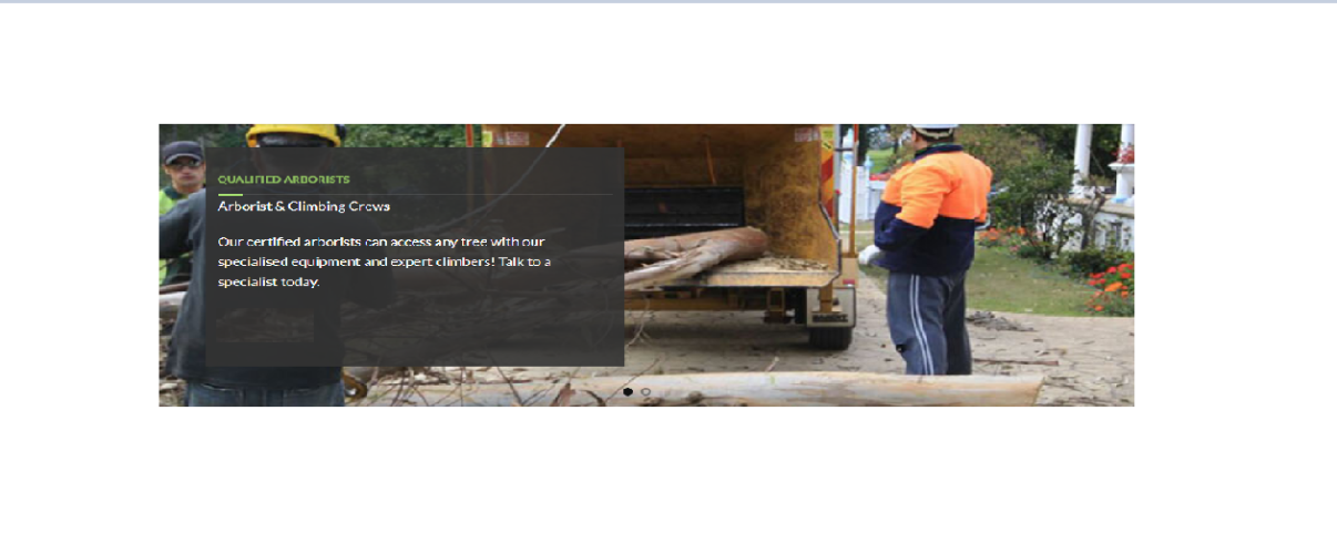 Tall Timbers Tree Services