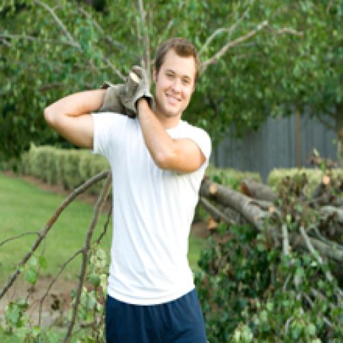 Bud's Tree Care