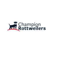 Champion Rottweilers