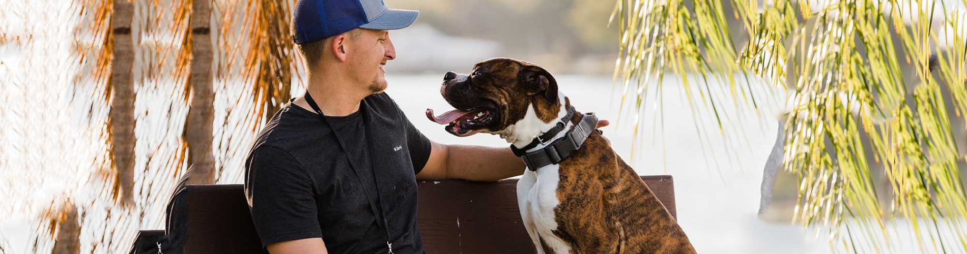 H.K. Dog Training