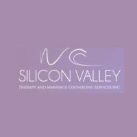 Siliconvalleytherapy
