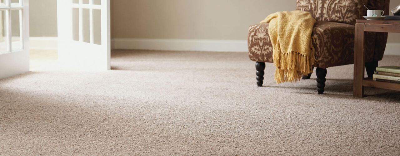 Carpet Cleaning Professionals Sydney