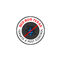 Bed Bug Texas