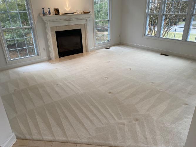 Bloomingdale DC carpet cleaners