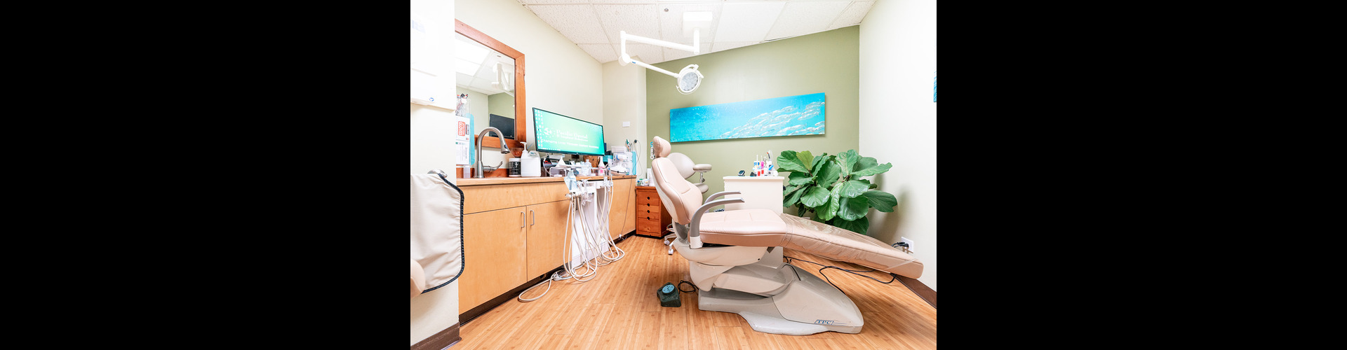Pacific Dental & Implant Solutions