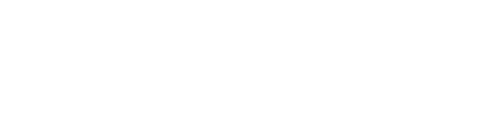 Dominion Energy Solutions