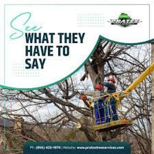 Prate's Tree Service, LLC