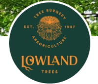 Lowland Trees