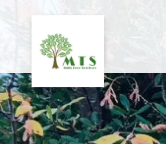 Mills Tree Services