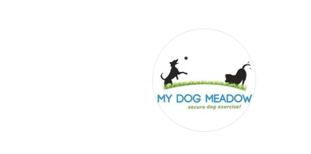 My Dog Meadow