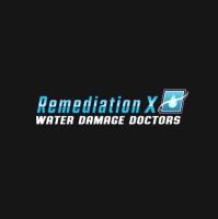 REMEDIATIONX