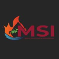 Mold Solutions & Inspections