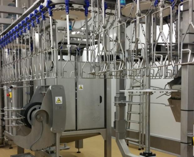 PMJ International Ltd