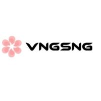VNGSNG