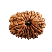 Nepal Rudraksha - Nepalrudraksha.com