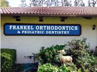 Roth and Frankel Orthodontics