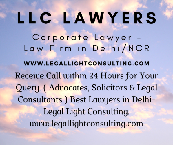Legal Light Consulting