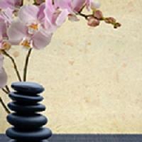 Altura Massage Therapy