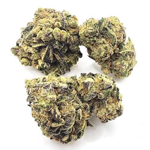 Power Plant Health